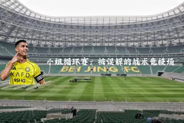 小组循环赛：被误解的战术竞技场